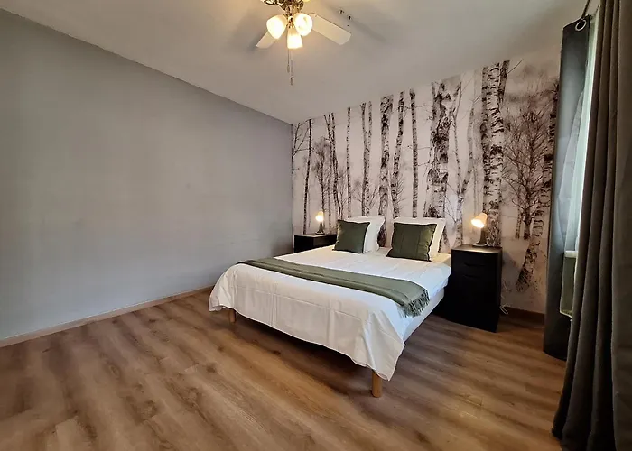 Le Kuttel Centre Historique * 科尔马