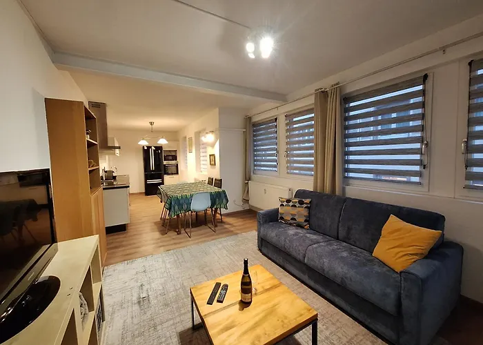 Le Kuttel Centre Historique 公寓 科尔马