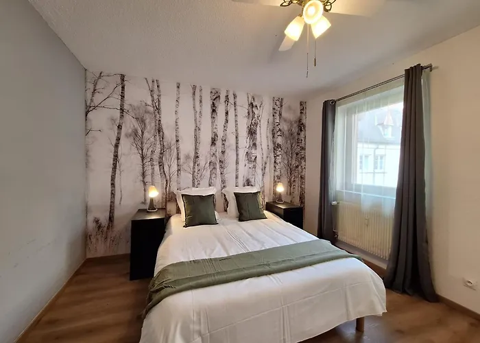 公寓 Le Kuttel Centre Historique 科尔马