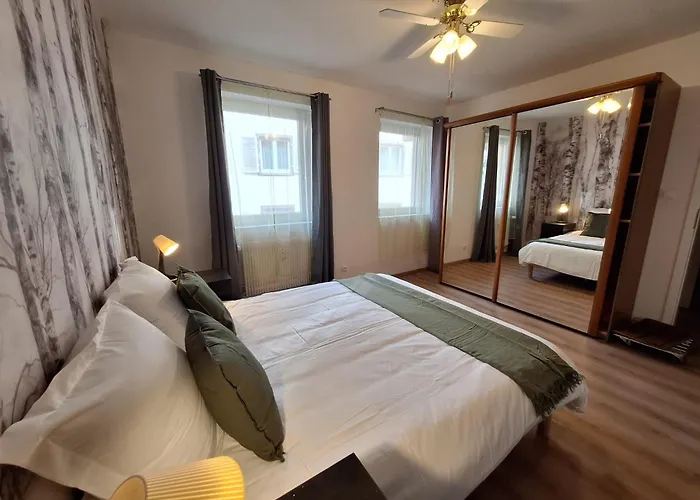 Le Kuttel Centre Historique 科尔马